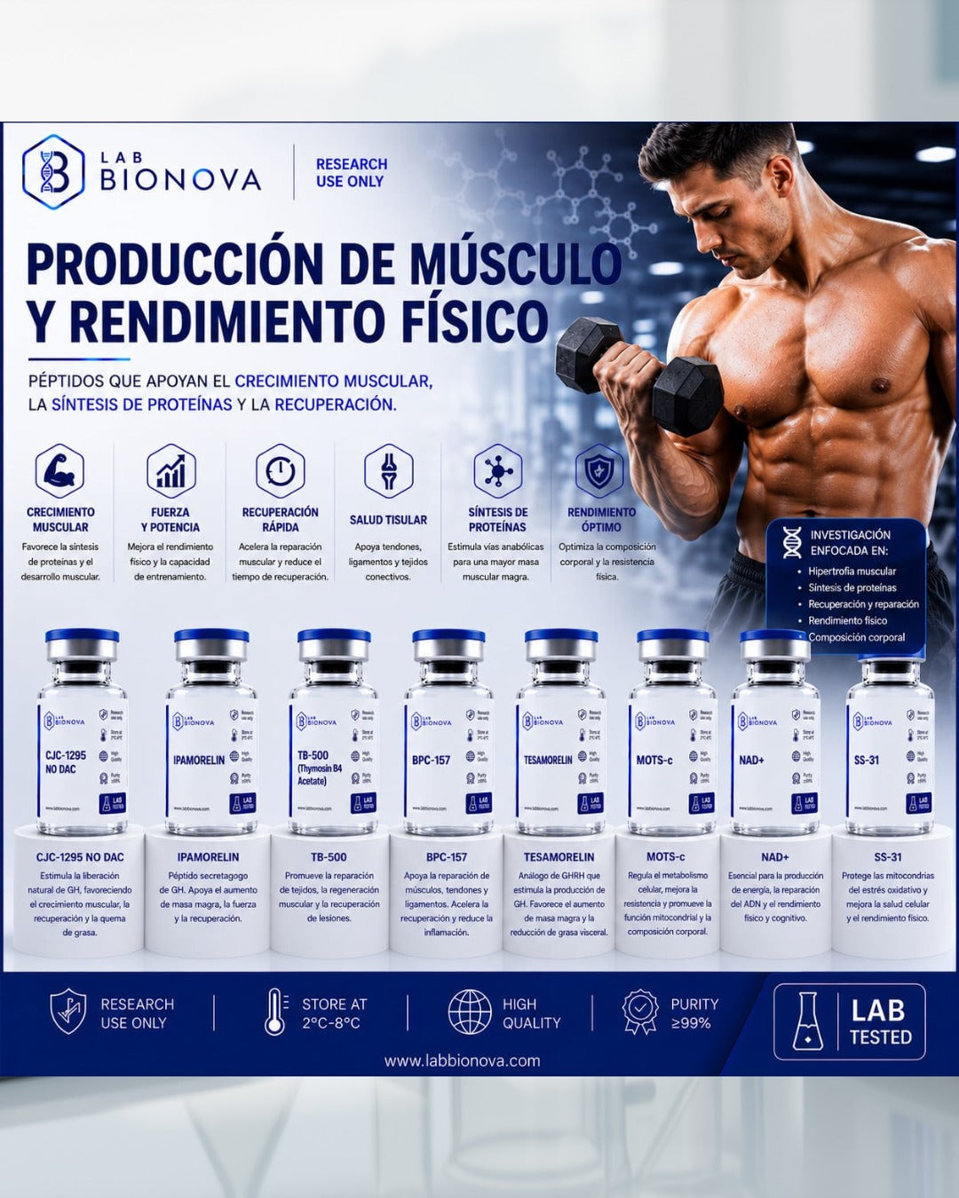Producción de Músculo y Rendimiento